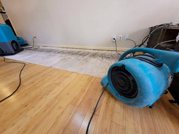 Professional Ceiling Water Damage Repair technician working in Laurel, FL